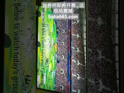 埃迪,力求以非凡,表现赢得球,九游会官网,九游会J9,九游会真人,九游会备用,九游会中心