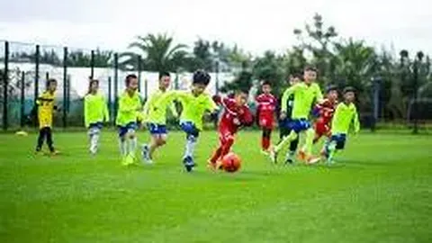 法国队主教练德尚将于2026年合同期满后宣布退役